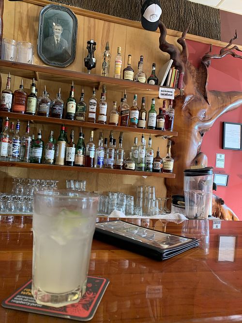 Buckeye mule  at Casa Nueva in Athens