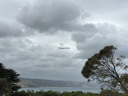 View on the ocean 🌊   at Coco Cafe & Restaurant  in Apollo Bay