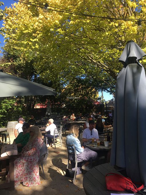 Beer garden  at The Clarendon Arms  in Evandale