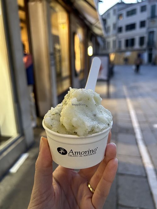 lime & basil vegan sorbet  at Amorino - Cannaregio in Venice