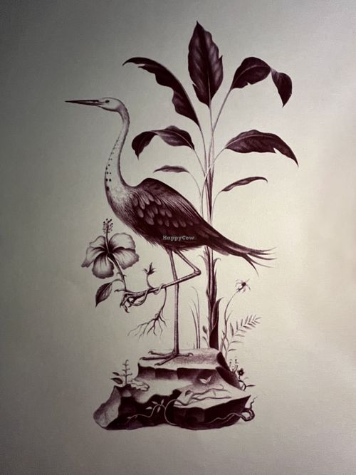   at Supernormal Brisbane in Brisbane