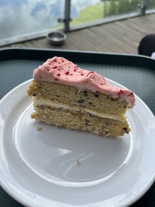 Vegan raspberry cake  at Nature Centre and Café - Attenborough Nature Reserve in Nottingham