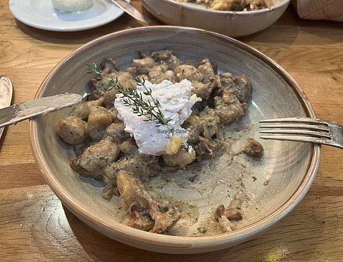 Had the vegan mushroom gnocchi, very tasty  at Restaurant Zeltinger Hof in Zeltingen-rachtig