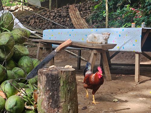 Agila Base Food Stall