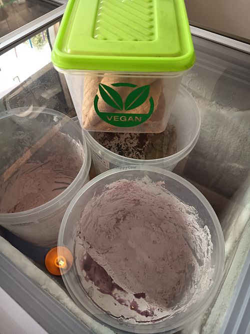 Blueberry vegan ice cream n waffle cone at Hang Over Takeaways in Pokhara