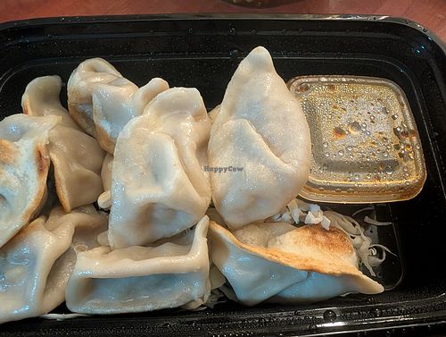 Vegan dumplings at HARU in Bloemfontein
