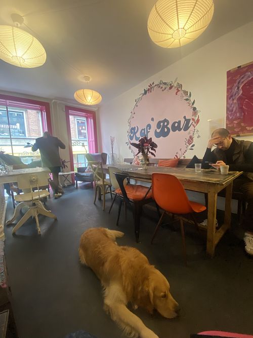   at Kaf' Bar in Copenhagen