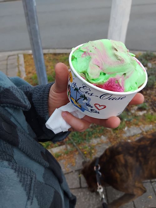 Drachenfrucht und Erdbeereis at Eddy's Eis Oase in Unna