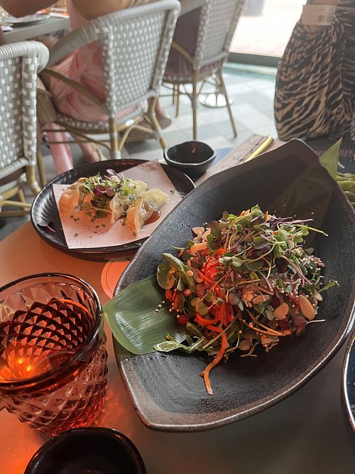 Vegan gyozas and Iroko salad  at Iroko in Mallorca