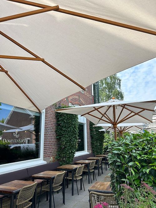  at Down to Earth   in Velp