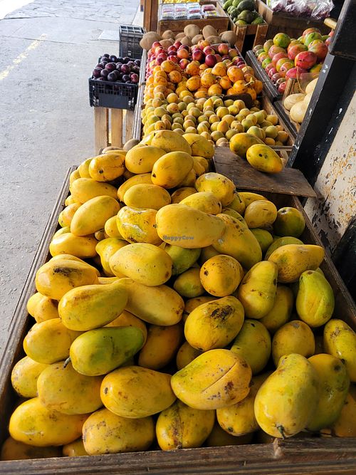 Mangoes at Mercado Miguel Hidalgo in Tijuana