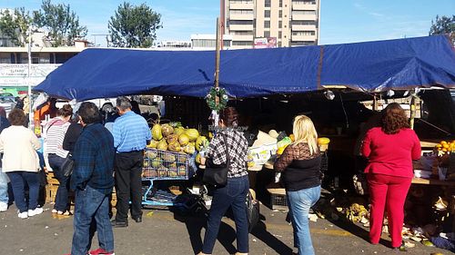 at the market at Mercado Miguel Hidalgo in Tijuana