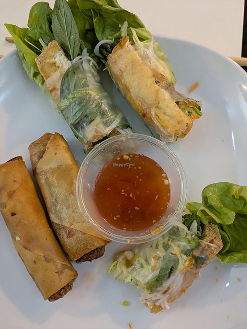 Spring rolls at Pho Ngoc Hiep Restaurant in South East London