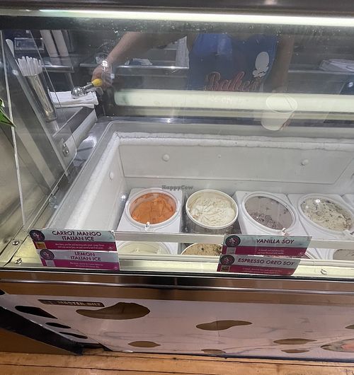 Vegan options   at Babes Ice Cream in Milwaukee