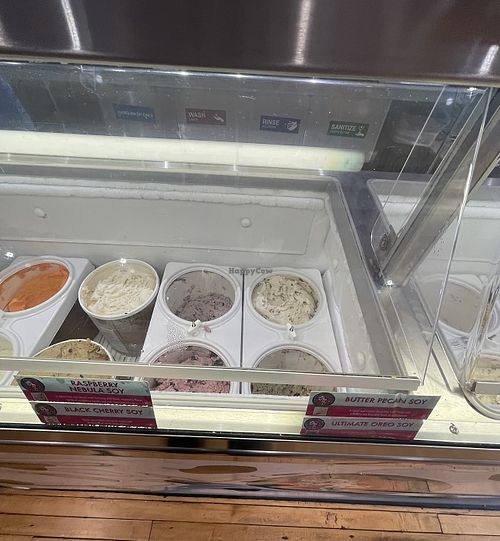 Vegan soy based options   at Babes Ice Cream in Milwaukee