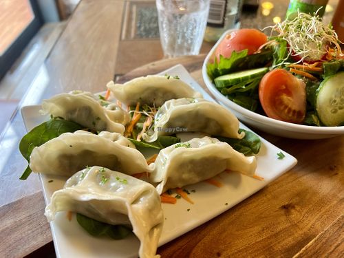 Dumplings filled with bok choy. Ask without the honey soy sauce to make it vegan.  at Pancake Rocks Cafe in West Coast