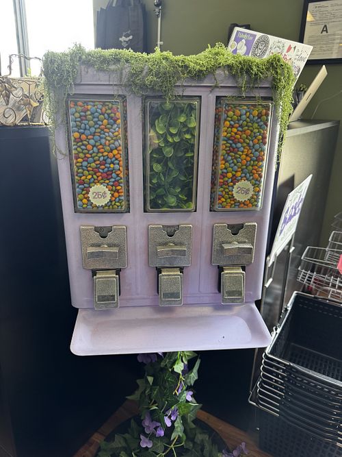 Vegan candy machine!  at The Vegan Pantry  in Kenmore