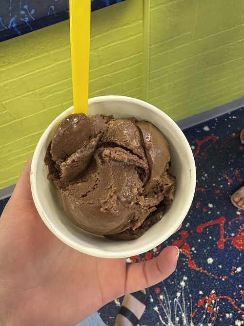 Chocolate ice cream   at Cool Treats for NSB in New Smyrna Beach