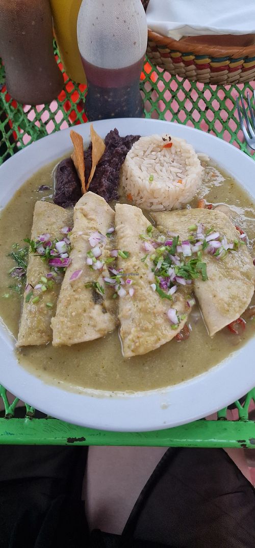Enchiladas veganas at Sabores De Mexico in Isla Mujeres