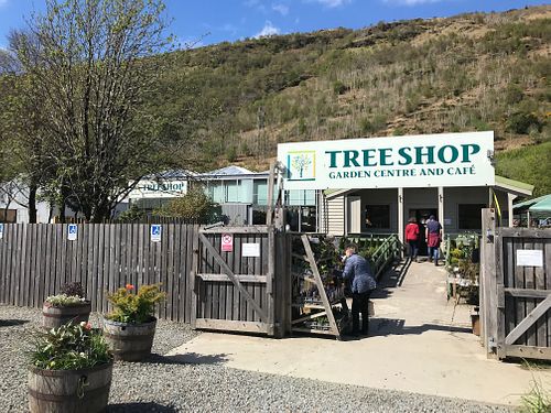  at The Tree Shop Garden Centre and Cafe in Cairndow