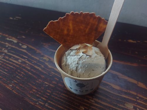 Coconut and roasted coconut at Miyazaki Ice (Cream) Shop - 宮崎氷果店 in Miyazaki