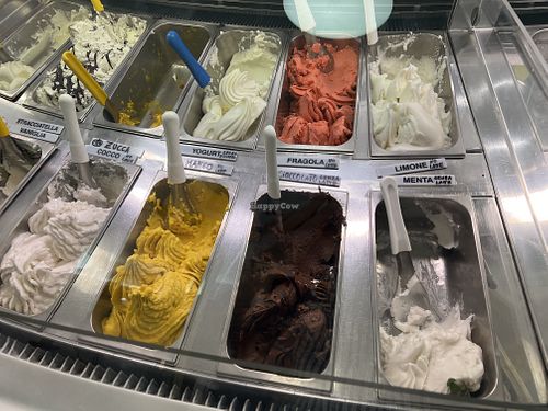 Zucca, cocco, cioccolato, fragola, mango, limone, menta  at Gelateria Artigiano Palladiano dal 1994 in Vicenza