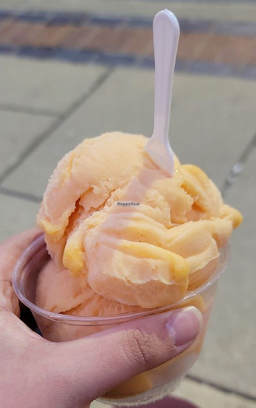 Mango Sorbet at The Main Scoop  in Urbana