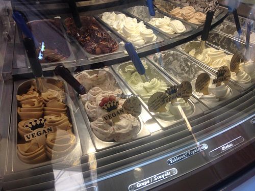 what a selection!!! at Ice Queen Gelato in Athens