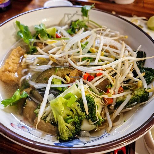 Vegan pho at Madame Pho - St Annes Square  in Belfast