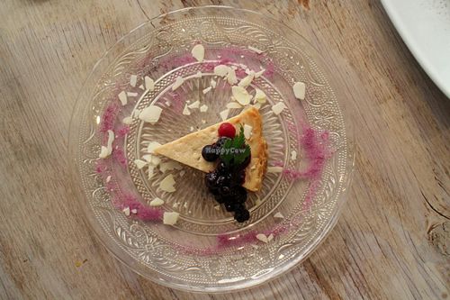 Baked tofu cheesecake at Paprika Shokudo Vegan. at Paprika Shokudo Vegan in Osaka