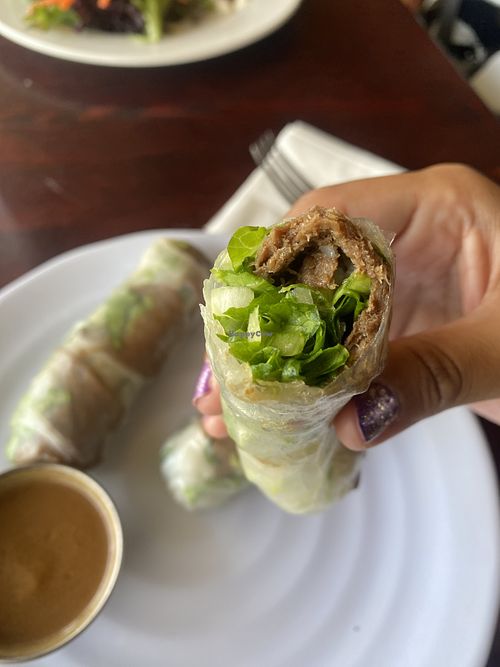 Yum on the Spring Rolls  at One Veg World in West Covina