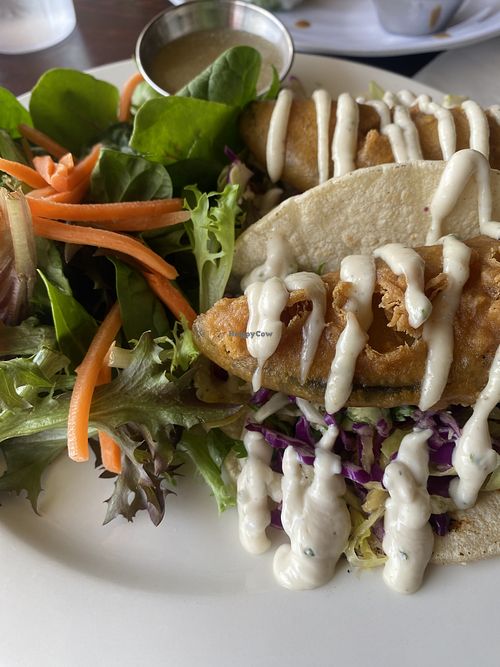 Extreme Close-Up, I wanted to try something different (my bad) didn’t like salad or tacos too much. Had fishy taste so didn’t like that   at One Veg World in West Covina