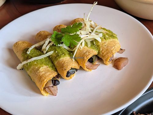 Enchiladas at Mezcla in Columbus