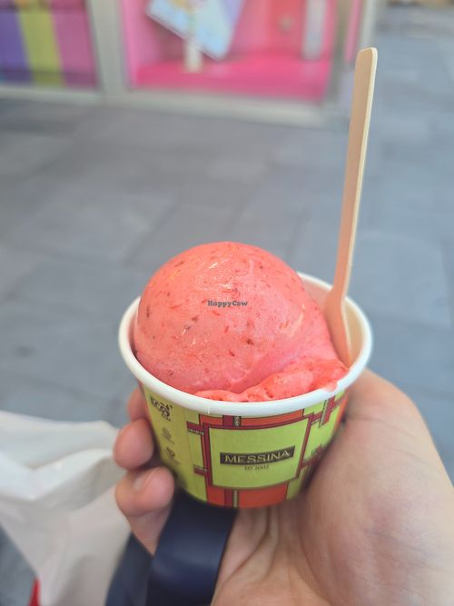 strawberry (1 scoop) at MESSINA in Hong Kong Island