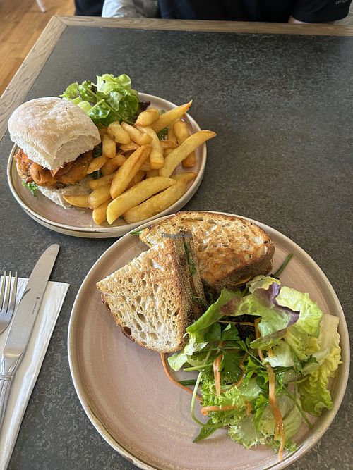 Carrot and coriander vegan burger + vegan almond cheese sourdough toasted sandwhich with salad and chips    at The Stables Café - Mount Congreve Gardens in Waterford