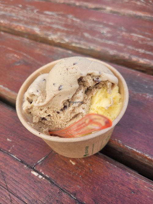 Creamy Coffee & Oh Sweet Lemon at Jægerspris Is in Jaegerspris