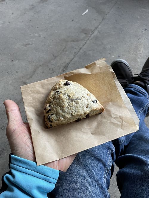 Vegan chocolate chip scone.  at TISSUE FARM in Confluence