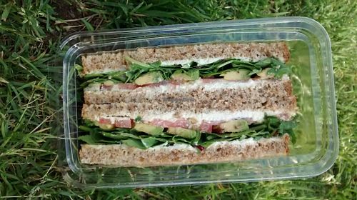 Avocado and vegan cheese sandwich at Cocobeet in Boston