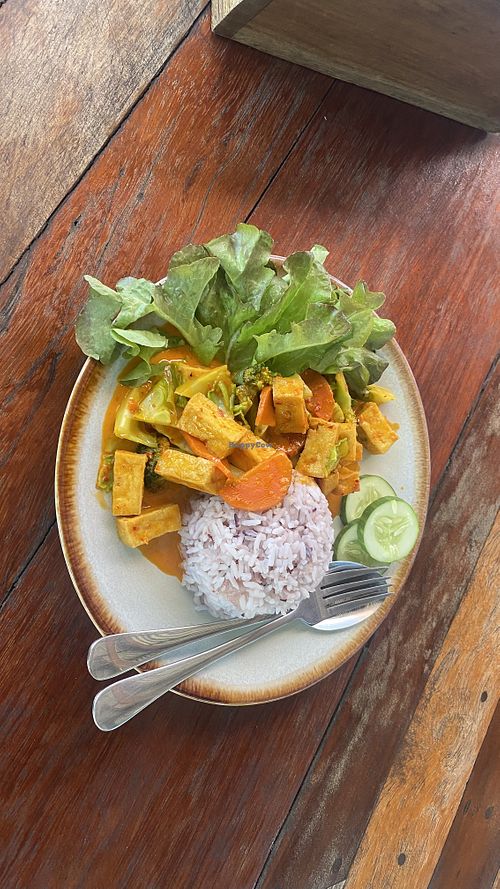 Healthy looking, healthy tasting, clean tasteful food. Homemade kombucha is a plus  at Natty's Cafe KYN in Koh Yao Noi