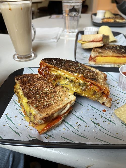 Falafel melt  at Toasted in Edinburgh