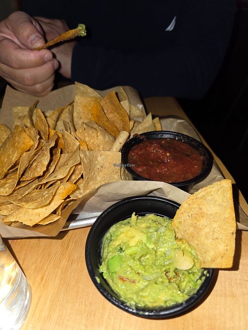  at The Silver Iguana in Rochester