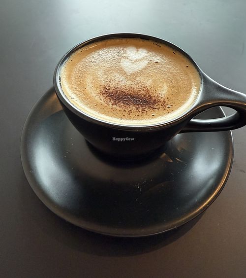 Oat cappuccino   at Endless Quest Roasters in Corte Madera