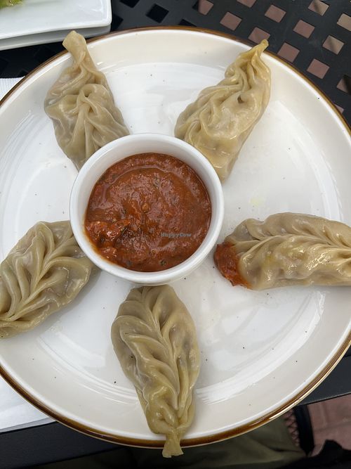 Vegan momos  at The Funky Buddha Bar & Restaurant in Denver