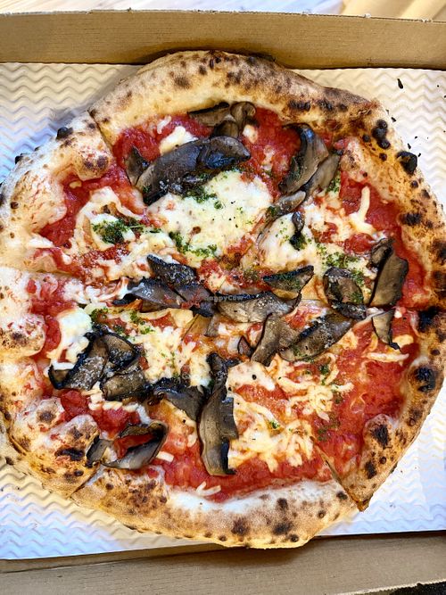   at Pizza-Elia in Sheffield