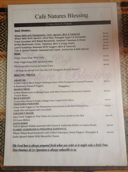 Menu at Cafe Natures Blessing in Pushkar