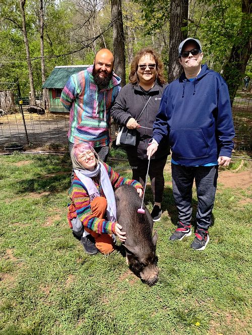 They provide scratchers for the pigs! at Ross Mill Farm Inc in Jamison