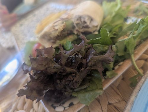 I ate most of the wrap before I took the picture (again) at Kassandra Restaurant in Fethiye