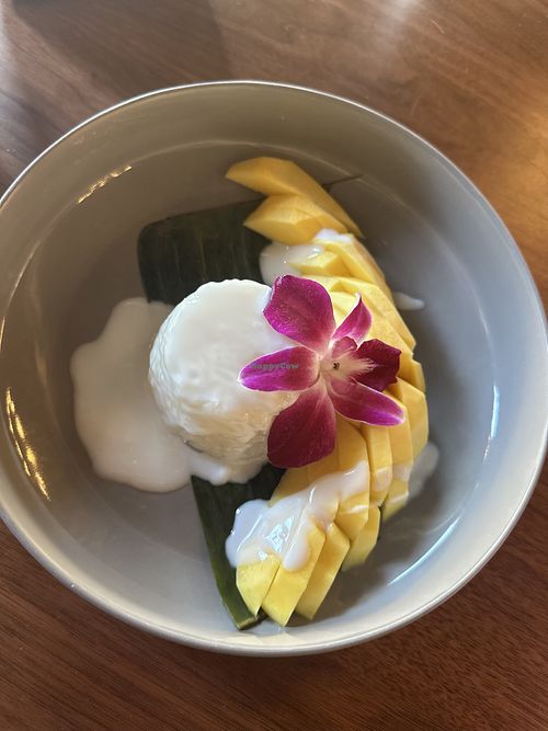 Mango sticky rice  at Rosemary Thai in Peabody