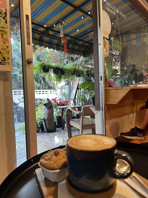   at Coffee Telling in Chiang Mai