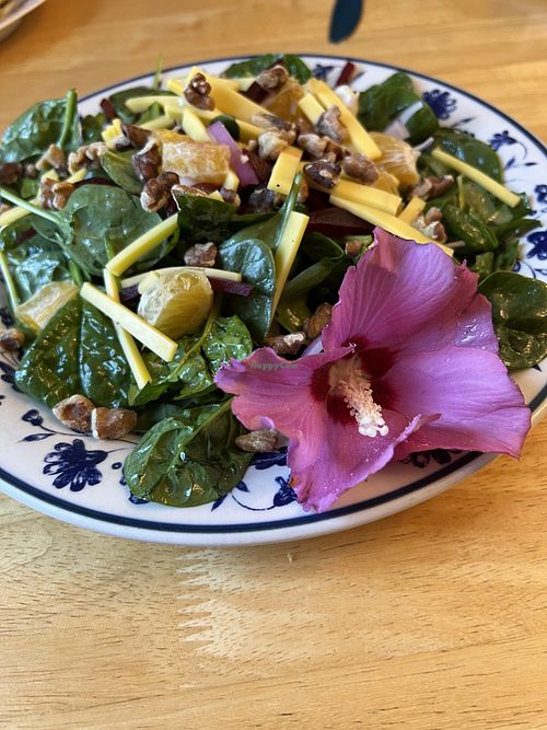 Vegan spinach salad  at Monet's Table in Tolland